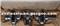 D427 Crankshaft Cylinder Head D427 Cylinder Block For FORKLIFT - img2