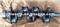 B3.3 Crankshaft Cylinder Head QSB3.3 Cylinder Block For FORKLIFT - img1