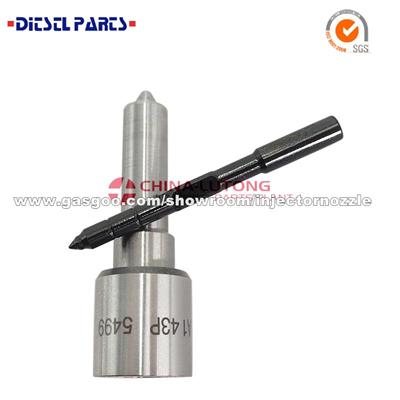 Hot Sale Steel Standard 0433171159 Diesel Engine Part Fuel Nozzle