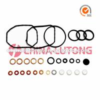 Diesel Pump Repair Kit 2 467 010 003 For Fuel Injection Pump Spare Parts