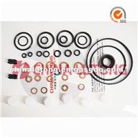 Diesel Pump Repair Kit 800647 For Fuel Injection Pump Spare Parts