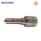 Auto Engine System Injector Nozzle Dlla145p864 - img1