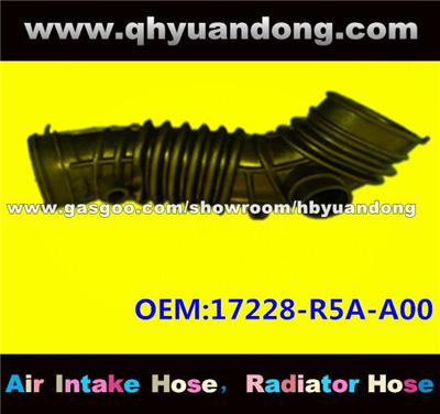 Air Intake Hose 17228-R5A-A00