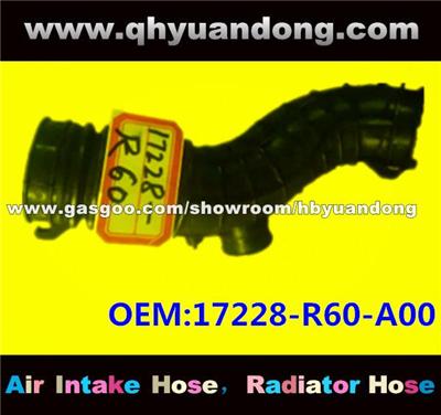 Air Intake Hose 17228-R60-A00