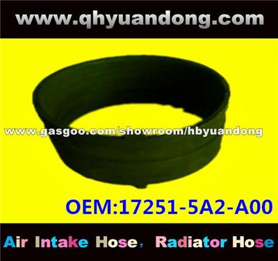 Air Intake Hose 17251-5A2-A00