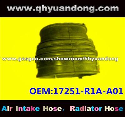 Air Intake Hose 17251-R1A-A01