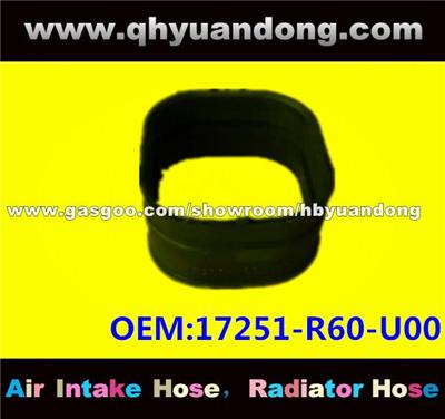 Air Intake Hose 17251-R60-U00