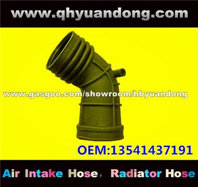 Air Intake Hose 13541437191