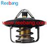 Reebang Engine Coolant Thermostat For Nissan 21200-ED00A 21200-ET01A