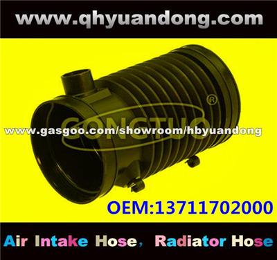 Air Intake Hose 13711702000