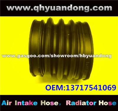 Air Intake Hose 13717541069