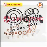 Diesel Injection Pump Repair Kit 800637