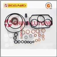 Fuel Injection Pump Rebuild Kit 1467010520