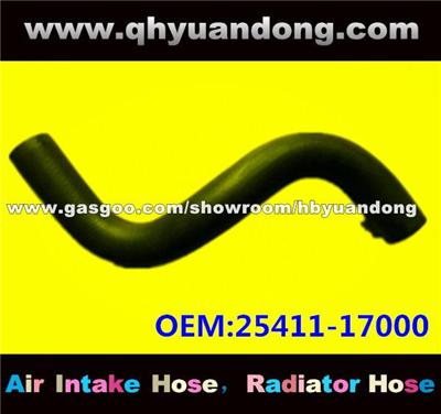 Radiator Hose 25411-17000