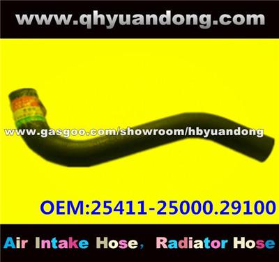 Radiator Hose 25411-25000.29100