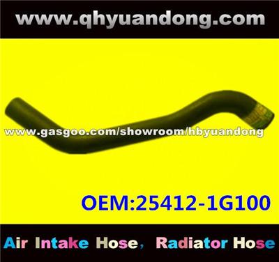 Radiator Hose 25412-1G100