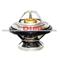 THERMOSTAT 6012000015 FOR BENZ SPRINTER 1995-2006