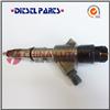Auto Parts Diesel Fuel Injection Assembly 0445110446