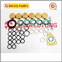 Auto Parts Fuel Injector Rebuild Kit 2417010021