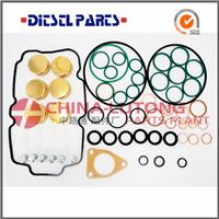 Ve Diesel Injection Pump Seal Kit 2427010049