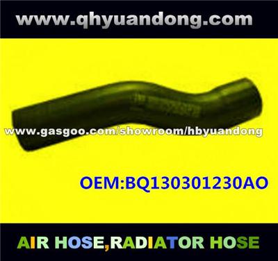 Radiator Hose BQ130301230AO