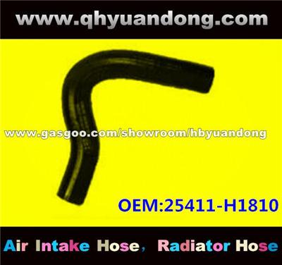 Radiator Hose 25411-H1810