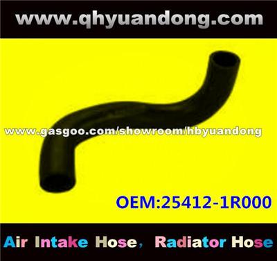 Radiator Hose 25412-1R000