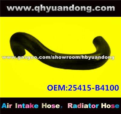 Radiator Hose 25415-B4100