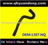 Radiator Hose 1307.NQ