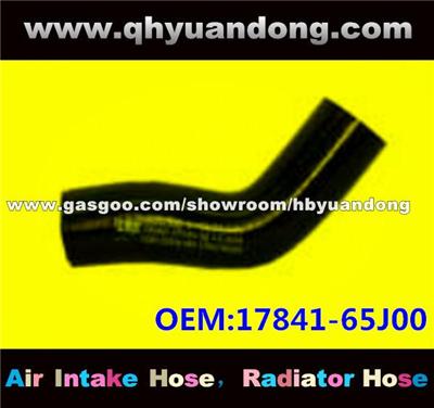 Radiator Hose 17841-65J00