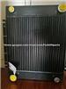 Atlas Copco Radiator Atlas Cooler 5580006043