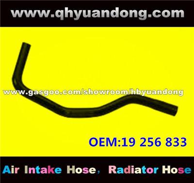 Radiator Hose 19 256 833