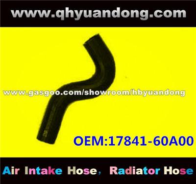 Radiator Hose 17841-60A00