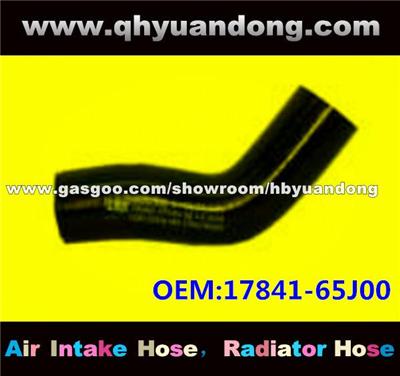 Radiator Hose 17841-65J00