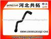 Radiator Hose 1303012E1QZ-CAS