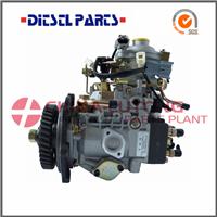 Diesel Engine Fuel Injection Pump NJ-VE4-11F1900L064