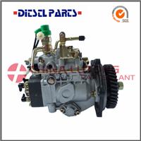 Diesel Fuel Injection Pump Rebuild NJ-VE4-11F1900LNJ03