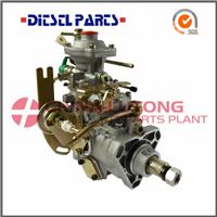 Diesel Fuel Injection Ve Pump NJ-VE4-12E1650R005