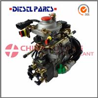 Diesel Injector Pump Ve NJ-VE4-11E1800L019