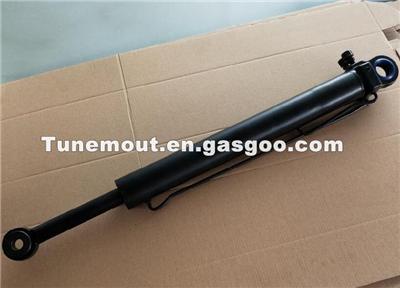 Export Products Customized Hydraulic Cabin Cylinder OEM 1720924/1477878