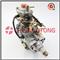 Ve Type Fuel Diesel Injection Pumps NJ-VE4-11E1600R015 - img2