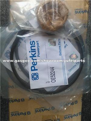 Perkins 1206D-E70TTAG1 Diesel Engine Spare Parts/Perkins 1200 Series Engine Maintenance Repair Overhaul Parts