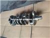 Brand New Crankshaft 770011183 AZ22 For RENAULT 1.9 F8T