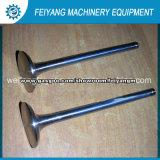 Weichai Steyr Wd615.67 Engine Intake Valve Exhaust Valve 61560050007