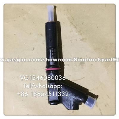 VG1246080036 Fuel Injector Assy For Howo Trucks