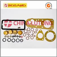 Ve Pump Rebuild Kit 1 417 010 002