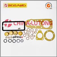 Injection Pump Repair Kit 1 417 010 002