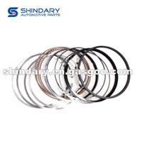 1004030GG010ZJ Piston Ring Kit