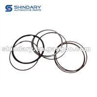 RING SET-PISTON STD