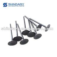 S1007L21153-50010 Intake Valve